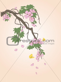flowering branch