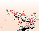 flowering cherry branch