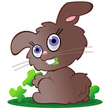 Brown Bunny Rabbit Eating Greens