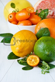 Assortment citrus fruit..