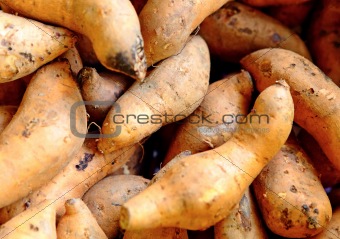 Organic sweet potatoes at market