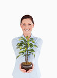 Good looking red-haired female holding a houseplant while standi