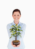 Attractive red-haired female holding a houseplant while standing