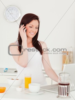Beautiful red-haired woman relaxing with her laptop in the kitch