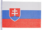 Slovakian flag