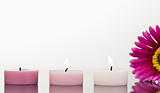 Lighted candles and a pink gerbera
