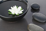 White flower floating in a black bowl surrounded by black pebble