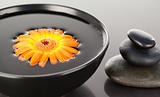 Orange flower floating on a black bowl and a stack of black pebb