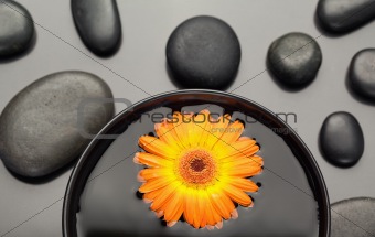Orange gerbera floating in a bowl surrounded by black pebbles