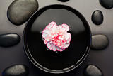 Pink and white carnation floating in a black bowl surrounded by 
