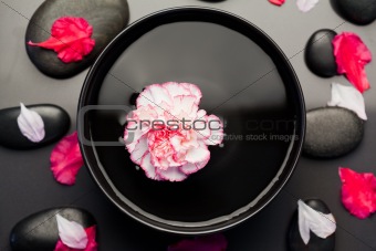 White and pink carnation floating in a black bowl surrounded by 