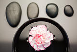 Pink and white carnation floating in a black bowl with aligned b