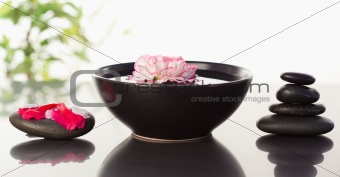 Pink carnation floating in a bowl with petals on a black stone o