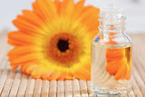 Close up on a glass phial and a sunflower