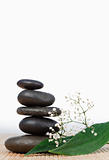 Black stones stack and small white flowers with leaves
