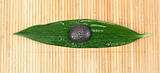 A black stone on a leaf