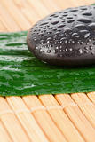 Close up of a black stone and a leaf