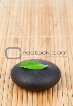 A leaf on a round smooth pebble