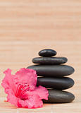 Pink orchid next to a black stones stack