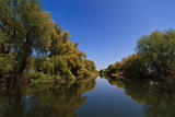 river channel in the Danube Delta