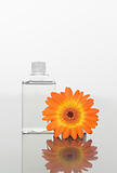 Orange gerbera and a glass flask on a mirror