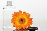 A black pebble with an orange gerbera and a glass flask
