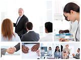 Business people attending to meetings
