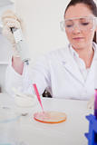 Good looking red-haired scientist using a pipette