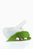 Mortar and pestle with pills on a leaf