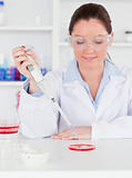 Portrait of a young scientist  preparing a sample