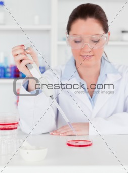 Portrait of a young scientist  preparing a sample