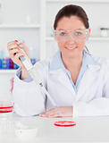 Portrait of a young scientist  preparing a sample while looking 