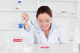 Cute scientist preparing a sample