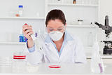 Young scientist preparing a sample while wearing a protective ma