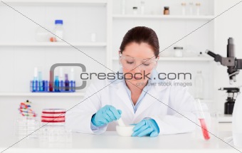 Young scientist preparing an experimentation