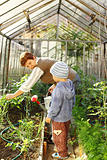 Gardening with granny