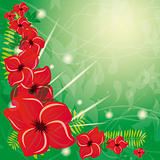 Summer background with red flowers