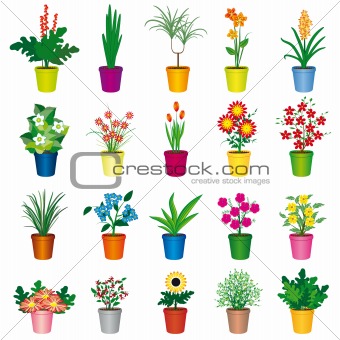 Set of colorful pots of flowers