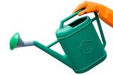 hand with rubber glove holding a watering can