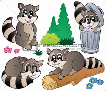 Cartoon racoons collection