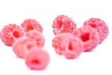 raspberry on white background