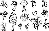 floral elements for design, set