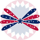 image of a patriotic star banner background