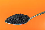 black caviar in a spoon 