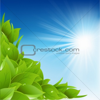 Nature Background With Leafs
