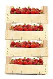 Boxes with strawberries