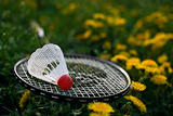 Badminton on a grass.