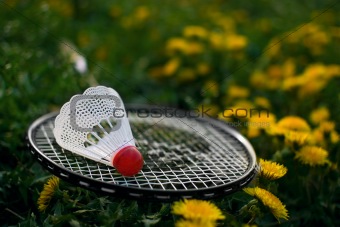 Badminton on a grass.