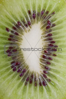 Kiwi fruit closeup