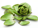 Artichoke With Leaves